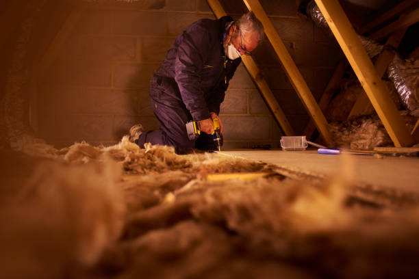 Best Specialized Insulation Services in Selmer, TN