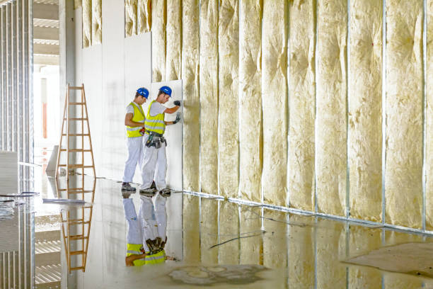 Best Commercial Insulation in Selmer, TN